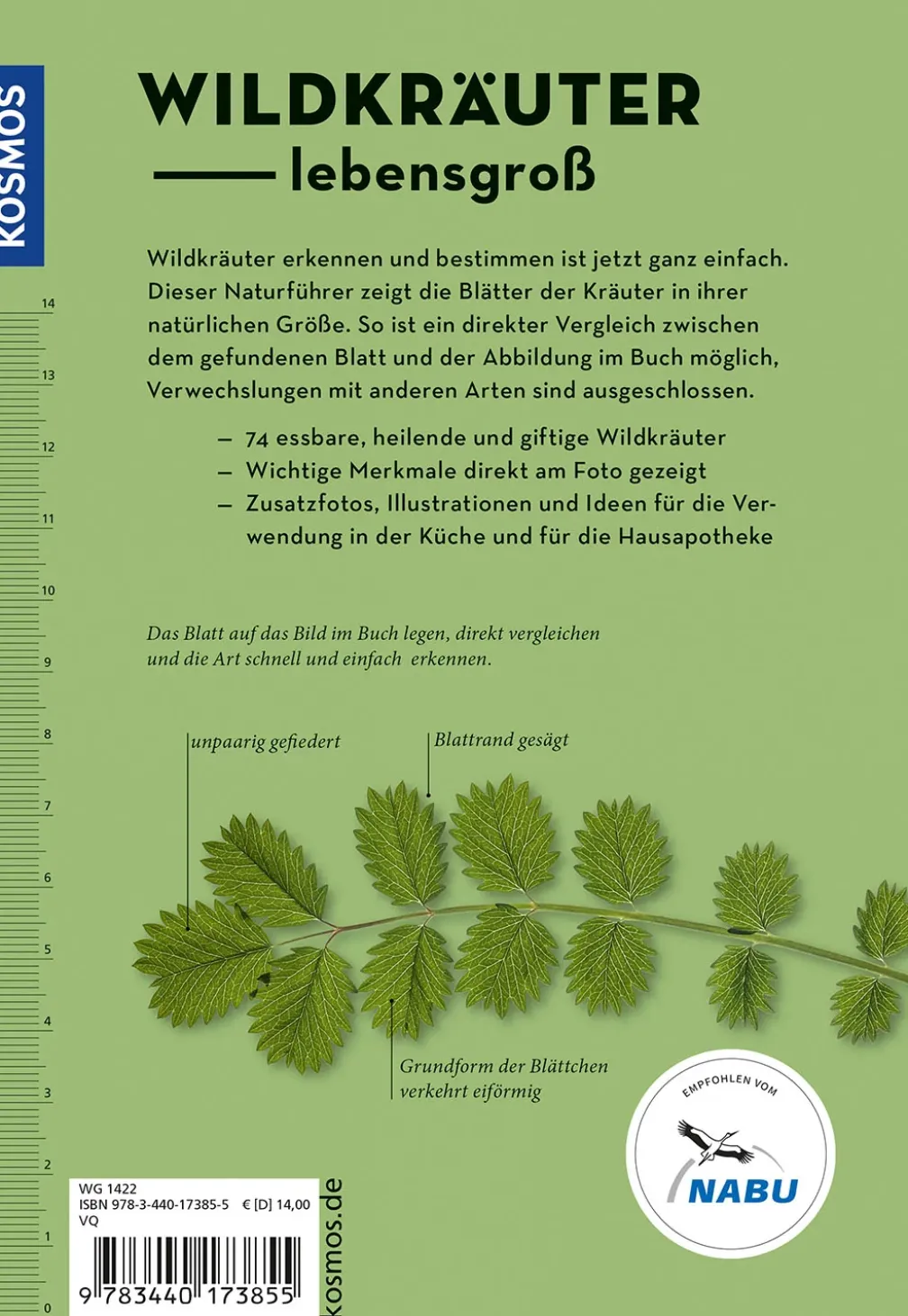 Wildkräuter am Blatt erkennen