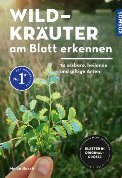 Wildkräuter am Blatt erkennen