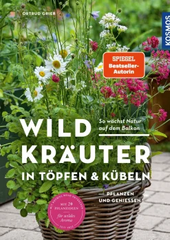 Wildkräuter in Töpfen & Kübeln