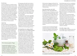 Wildpflanzen für die mentale Gesundheit