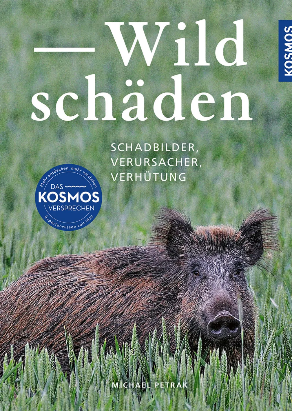 Wildschäden