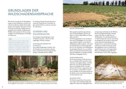 Wildschäden