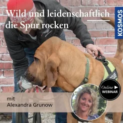 Wild und Leidenschaftlich – die Spur rocken