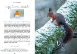 Winter Moments in Nature – der Adventskalender