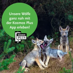 Wölfe