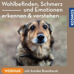 Wohlbefinden, Schmerz und Emotionen – erkennen & verstehen