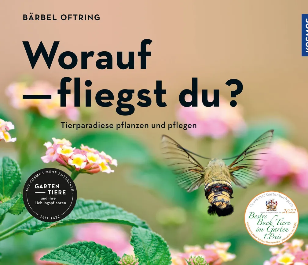 Worauf fliegst du?