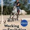 Working Equitation