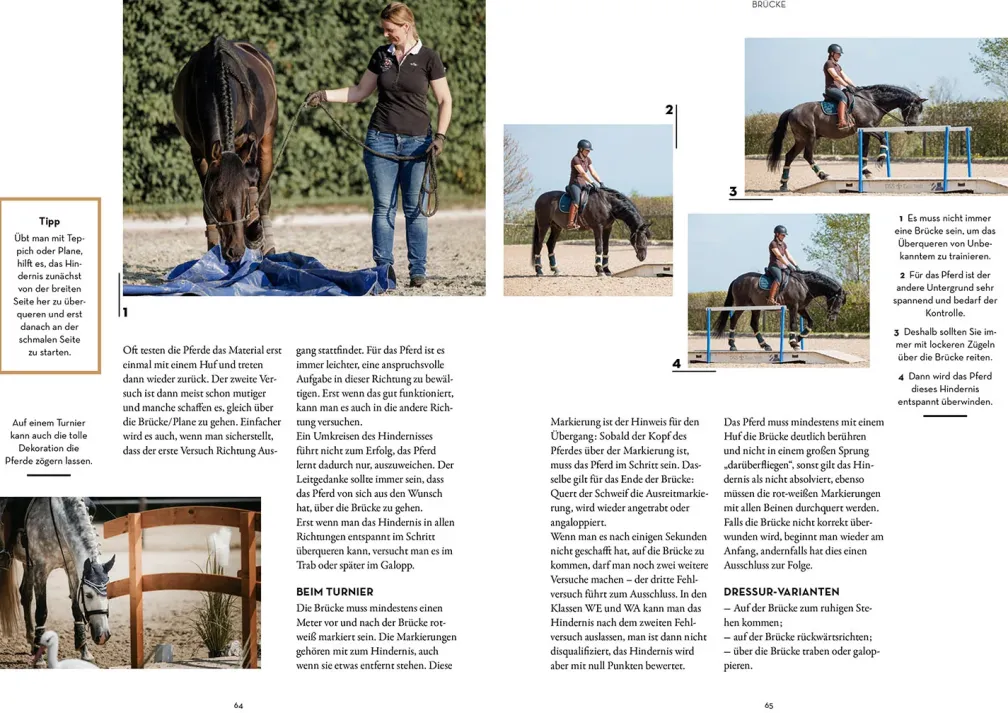 Working Equitation