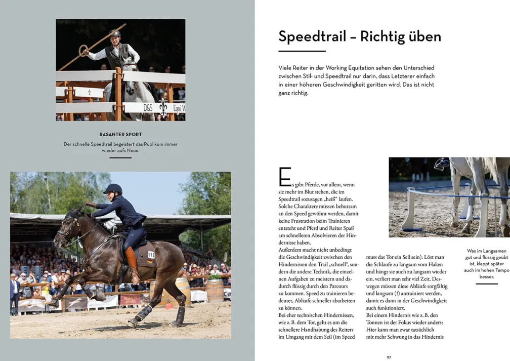Working Equitation