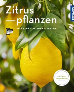 Zitruspflanzen (Mein Garten)