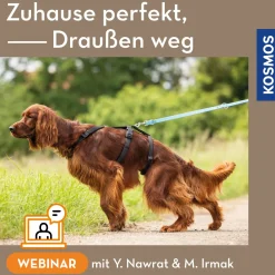 Zuhause perfekt, draußen weg