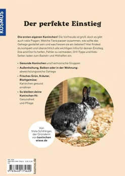 Zwergkaninchen
