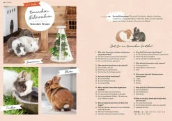 Zwergkaninchen