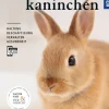 Zwergkaninchen