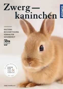 Zwergkaninchen