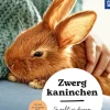 Zwergkaninchen