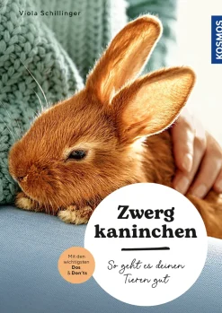 Zwergkaninchen